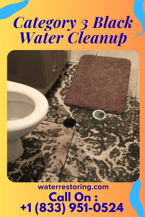 Category 3 Black Water Cleanup in New Cordell, OK